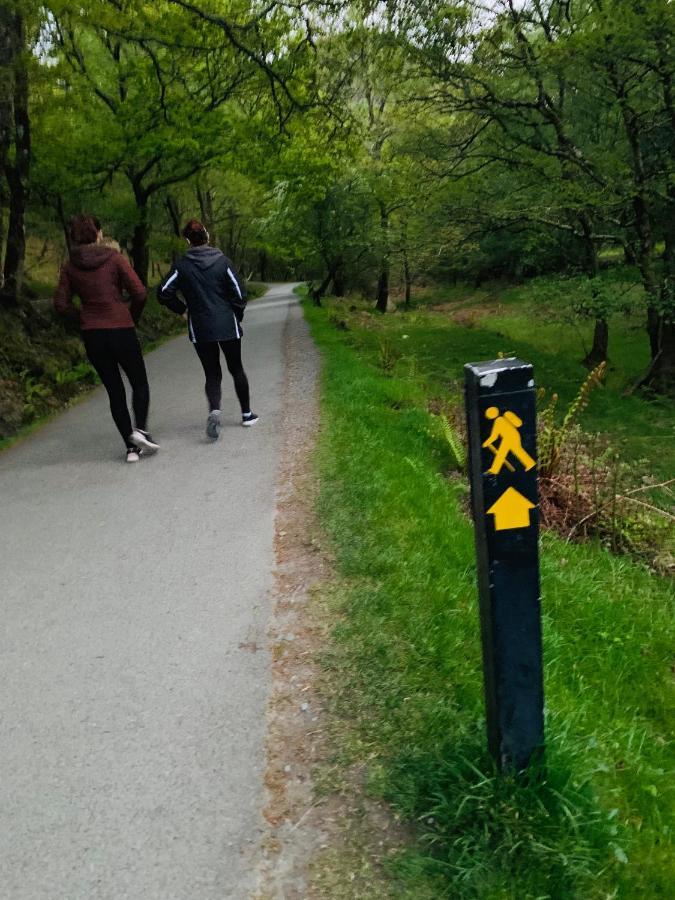 Wicklow Way Lodge Luaran gambar