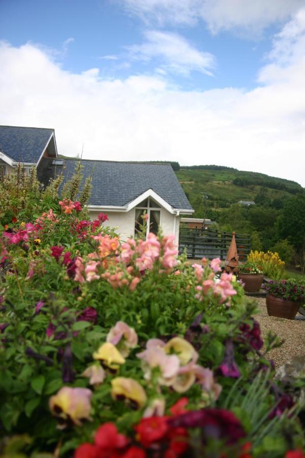 Wicklow Way Lodge Luaran gambar