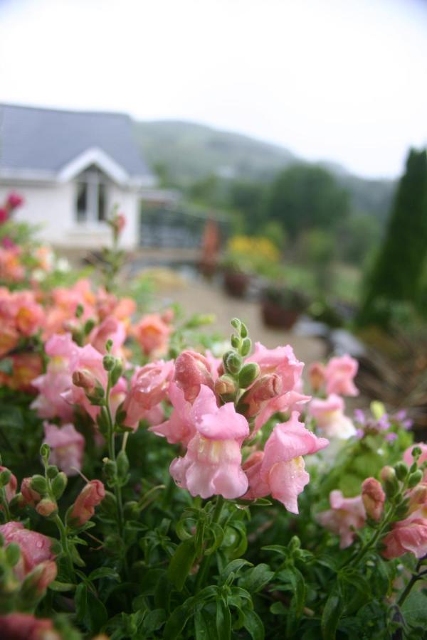 Wicklow Way Lodge Luaran gambar
