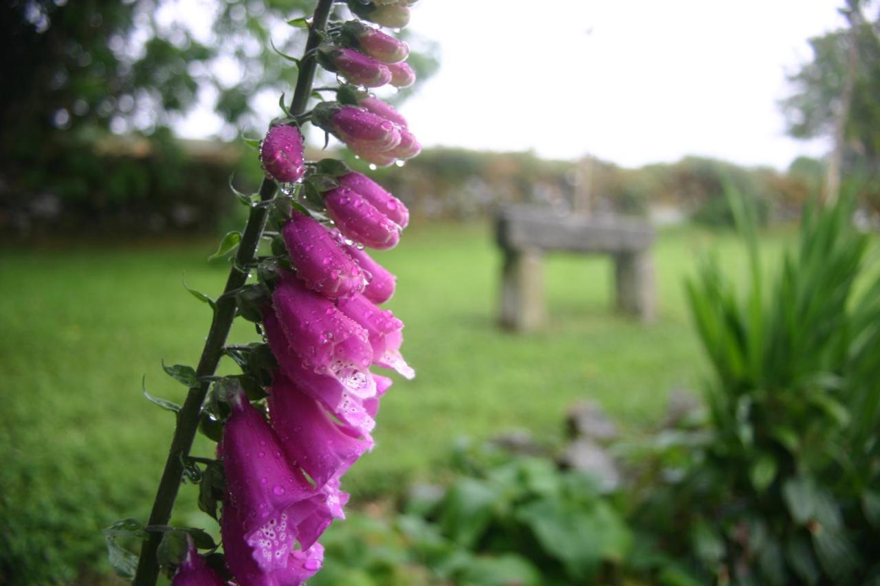 Wicklow Way Lodge Luaran gambar
